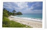 Tropical beach, Samana Peninsula, Dominican Republic by Anonymous