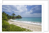 Tropical beach, Samana Peninsula, Dominican Republic by Anonymous