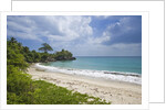 Tropical beach, Samana Peninsula, Dominican Republic by Anonymous