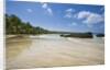 Tropical beach, Las Terrenas, Dominican Republic by Anonymous