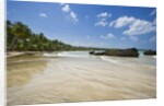 Tropical beach, Las Terrenas, Dominican Republic by Anonymous