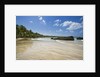 Tropical beach, Las Terrenas, Dominican Republic by Anonymous