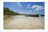 Tropical beach, Las Terrenas, Dominican Republic by Anonymous