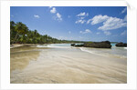 Tropical beach, Las Terrenas, Dominican Republic by Anonymous