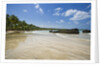 Tropical beach, Las Terrenas, Dominican Republic by Anonymous