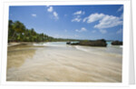 Tropical beach, Las Terrenas, Dominican Republic by Anonymous