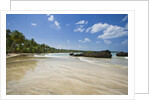 Tropical beach, Las Terrenas, Dominican Republic by Anonymous