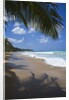 Tropical beach, Las Terrenas, Dominican Republic by Anonymous