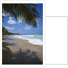 Tropical beach, Las Terrenas, Dominican Republic by Anonymous
