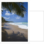 Tropical beach, Las Terrenas, Dominican Republic by Anonymous