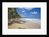 Tropical beach, Las Terrenas, Dominican Republic by Anonymous