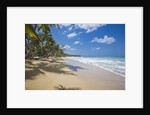 Tropical beach, Las Terrenas, Dominican Republic by Anonymous