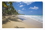 Tropical beach, Las Terrenas, Dominican Republic by Anonymous