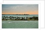 Sra and Old San Juan in distance, Puerto Rico by Anonymous