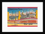 Greetings from Bay Shore, Long Island, New York by Anonymous
