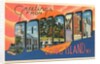 Greetings from Jamaica, Long Island, New York by Anonymous