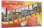 Greetings from Louisiana by Anonymous