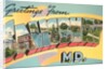 Greetings from Salisbury, Maryland by Anonymous