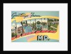 Greetings from Salisbury, Maryland by Anonymous