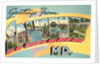 Greetings from Salisbury, Maryland by Anonymous