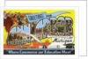 Greetings from Ann Arbor, Michigan, Where Commerce and Education Meet by Anonymous