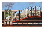 Greetings from Michigan by Anonymous