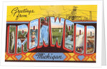 Greetings from Ironwood, Michigan by Anonymous