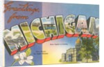 Greetings from Michigan by Anonymous