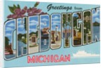 Greetings from Cheboygan, Michigan by Anonymous