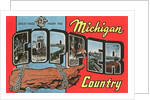 Greetings from the Michigan Copper Country by Anonymous