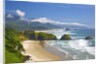 view of Cannon Beach from Ecola State Park. Oregon Coast. Pacific Ocean. by Anonymous