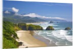 view of Cannon Beach from Ecola State Park. Oregon Coast. Pacific Ocean. by Anonymous
