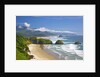 view of Cannon Beach from Ecola State Park. Oregon Coast. Pacific Ocean. by Anonymous