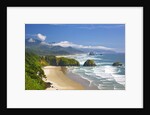 view of Cannon Beach from Ecola State Park. Oregon Coast. Pacific Ocean. by Anonymous