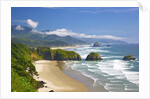view of Cannon Beach from Ecola State Park. Oregon Coast. Pacific Ocean. by Anonymous
