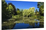 House and Gardens of Claude Monet, Giverny, Lower Normandy, France by Anonymous