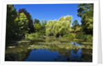 House and Gardens of Claude Monet, Giverny, Lower Normandy, France by Anonymous