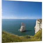 View of the Aiguille cliff , High Normandy , France by Anonymous