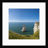 View of the Aiguille cliff , High Normandy , France by Anonymous