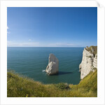 View of the Aiguille cliff , High Normandy , France by Anonymous