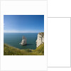 View of the Aiguille cliff , High Normandy , France by Anonymous