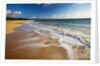 Evening Light on Big Beach On The Island of Maui by Anonymous