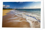 Evening Light on Big Beach On The Island of Maui by Anonymous