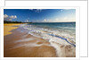 Evening Light on Big Beach On The Island of Maui by Anonymous