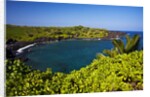 Sunny Day at the Black Sand Beach Near Hana on the Island of Maui by Anonymous