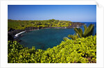 Sunny Day at the Black Sand Beach Near Hana on the Island of Maui by Anonymous