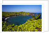 Sunny Day at the Black Sand Beach Near Hana on the Island of Maui by Anonymous