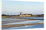 Windmill and saltworks, Marsala, Sicily, Italy by Anonymous