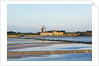 Windmill and saltworks, Marsala, Sicily, Italy by Anonymous