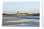 Windmill and saltworks, Marsala, Sicily, Italy by Anonymous
